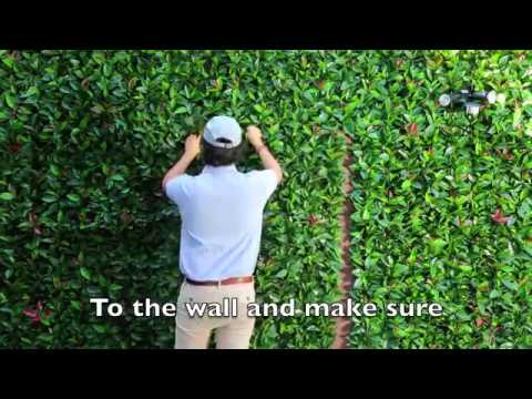 How To Mount Our Artificial Greenery On Vertical Walls - YouTube