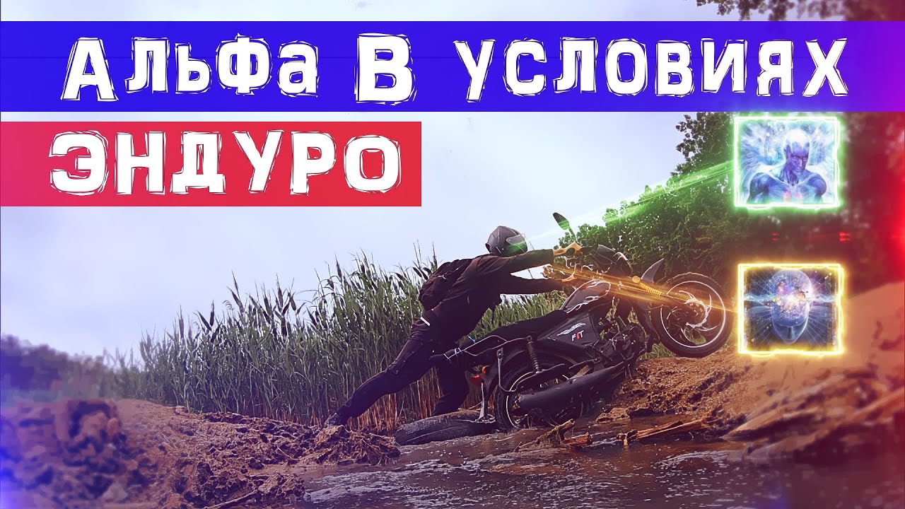 Альфа каско условия