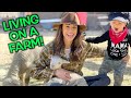 LIVING ON A FARM WITH A 2 YEAR OLD!