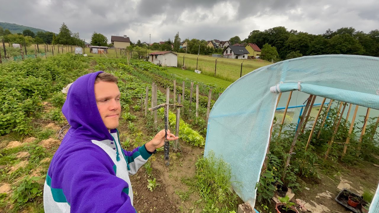 Tour of My Small Farm in Poland Vegetables Fruits Animals