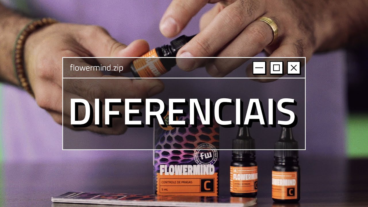 Conheça os diferenciais do Controle de Pragas Flowermind