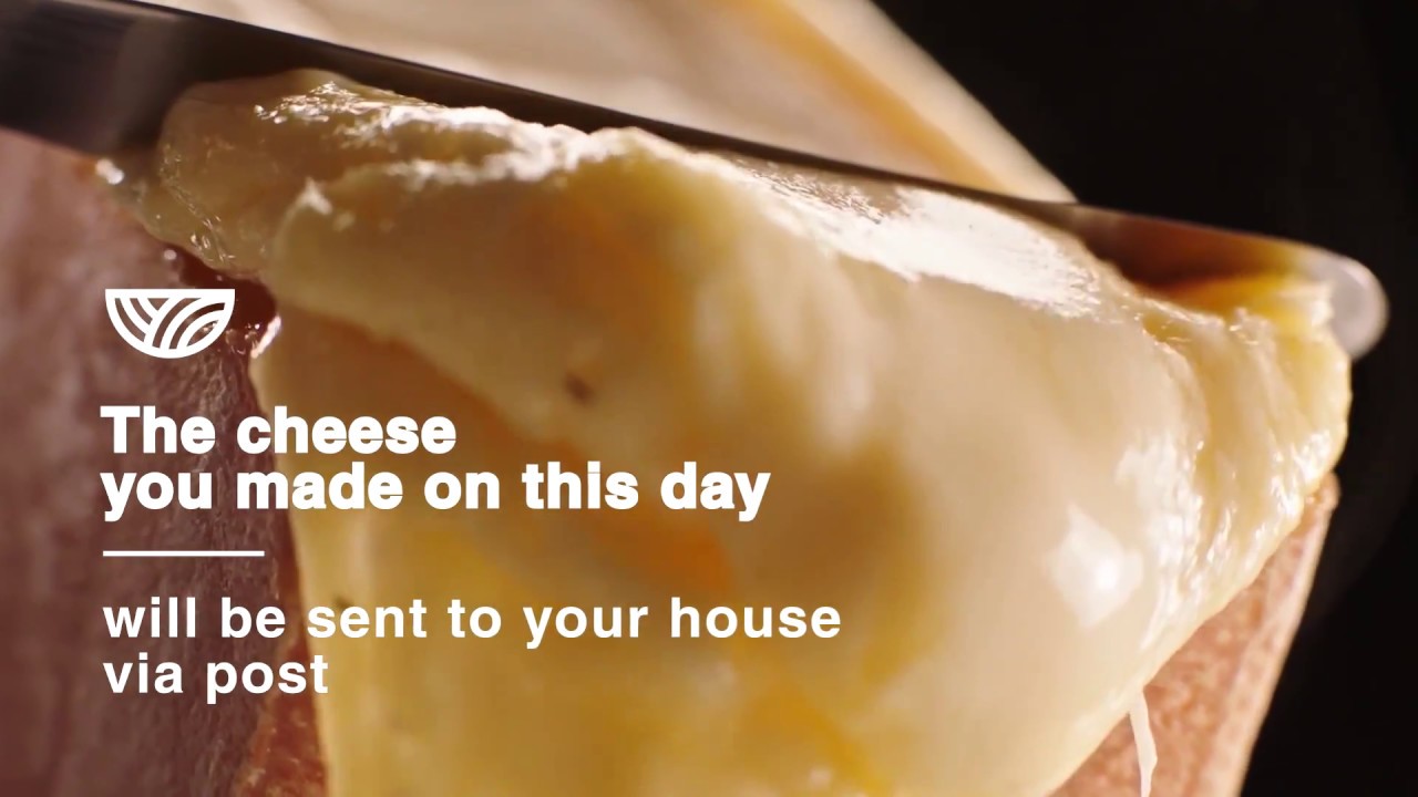 Visit a traditional cheese factory and a bio-farm in the countryside.