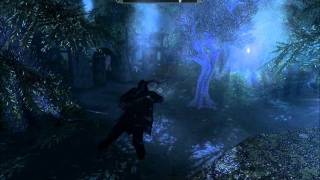 Skyrim custom worldspace underwater bug