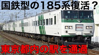 【185系】東京都内全駅通過する特急列車あしかが大藤祭り号に乗車したら凄い感動した