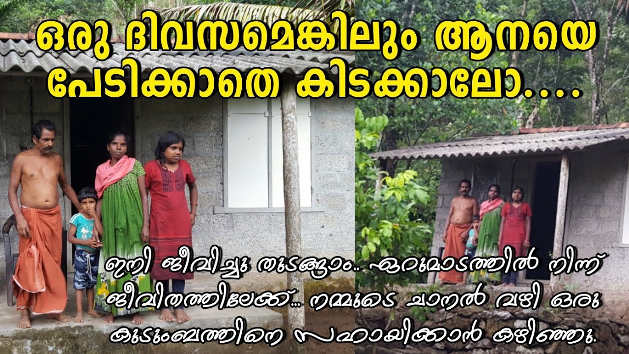 കാട്ടാനയെ പേടിക്കാതെ ജീവിച്ച ദിവസങ്ങളില്ല | ഏറുമാടത്തിൽ നിന്ന്  വാടക വീട്ടിലേക്ക് | ചികിത്സ സഹായവും