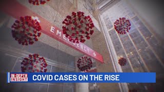 Insight: COVID Cases in Central Texas