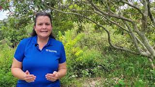 2021 Sustainable Communities Workshop: Exhibitor – UF/IFAS Extension Sarasota County 4-H Program