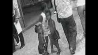 Barricada - Oveja negra