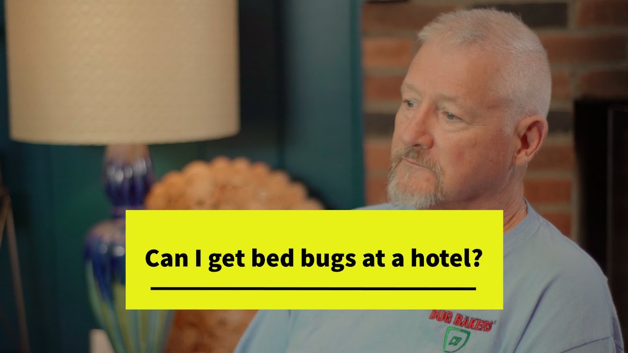 Can I get bed bugs at a hotel? YouTube