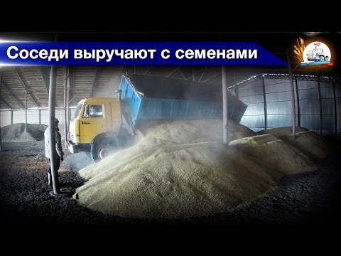 Купили новые семена. "Новый" тракторист погрузчика ТО-30 и заведующий складами...
