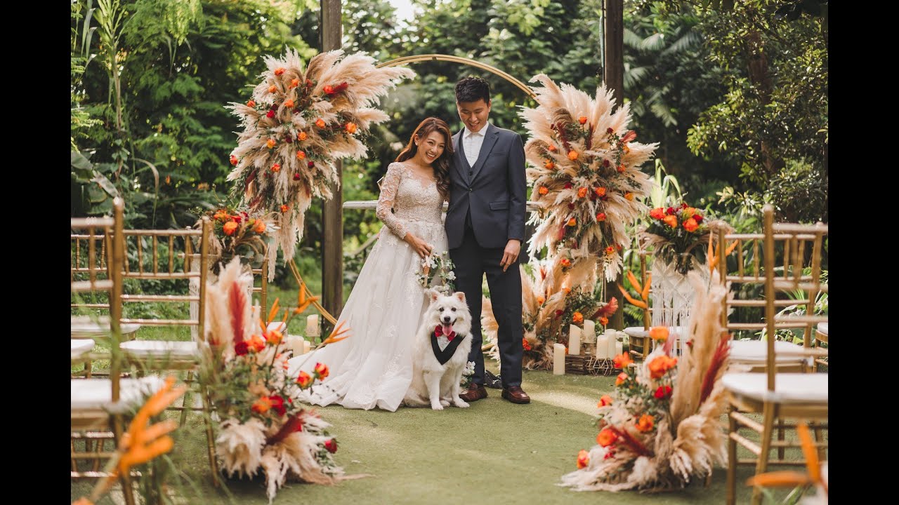 Singapore Pet Friendly Wedding at Open Farm Community