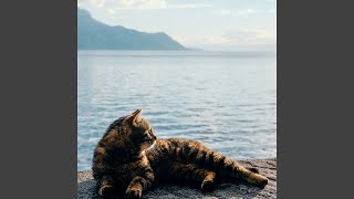 Melodic Paws in Harmony