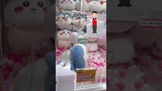 Chiikawa] If you do as the store clerk says, you should be able to