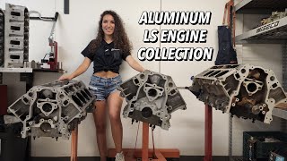 I Bought TWO 6.2L LS Blocks & Rec Port Heads!