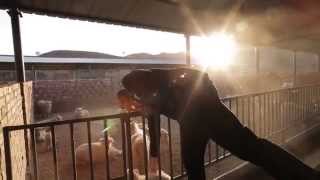 Imagefilm FTC - Das weisse Gold (Deutsch Short video)