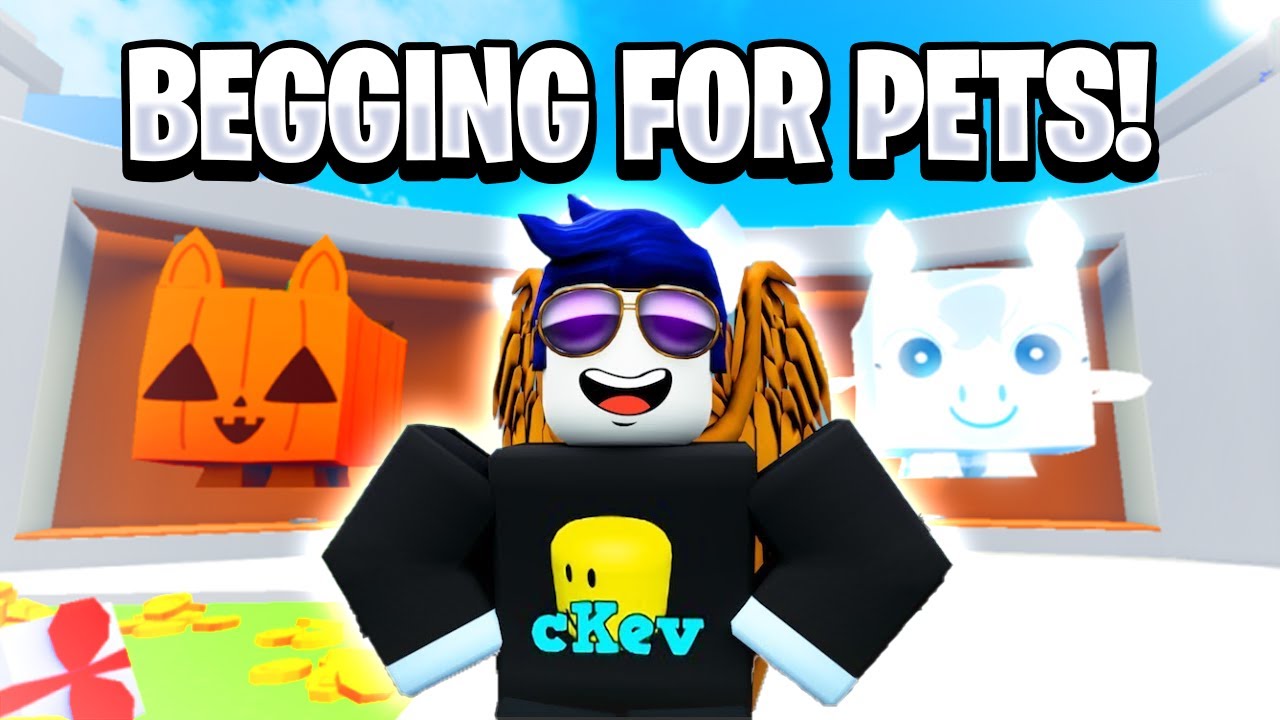 CKEV - BEGGING FOR PETS (TEST)
