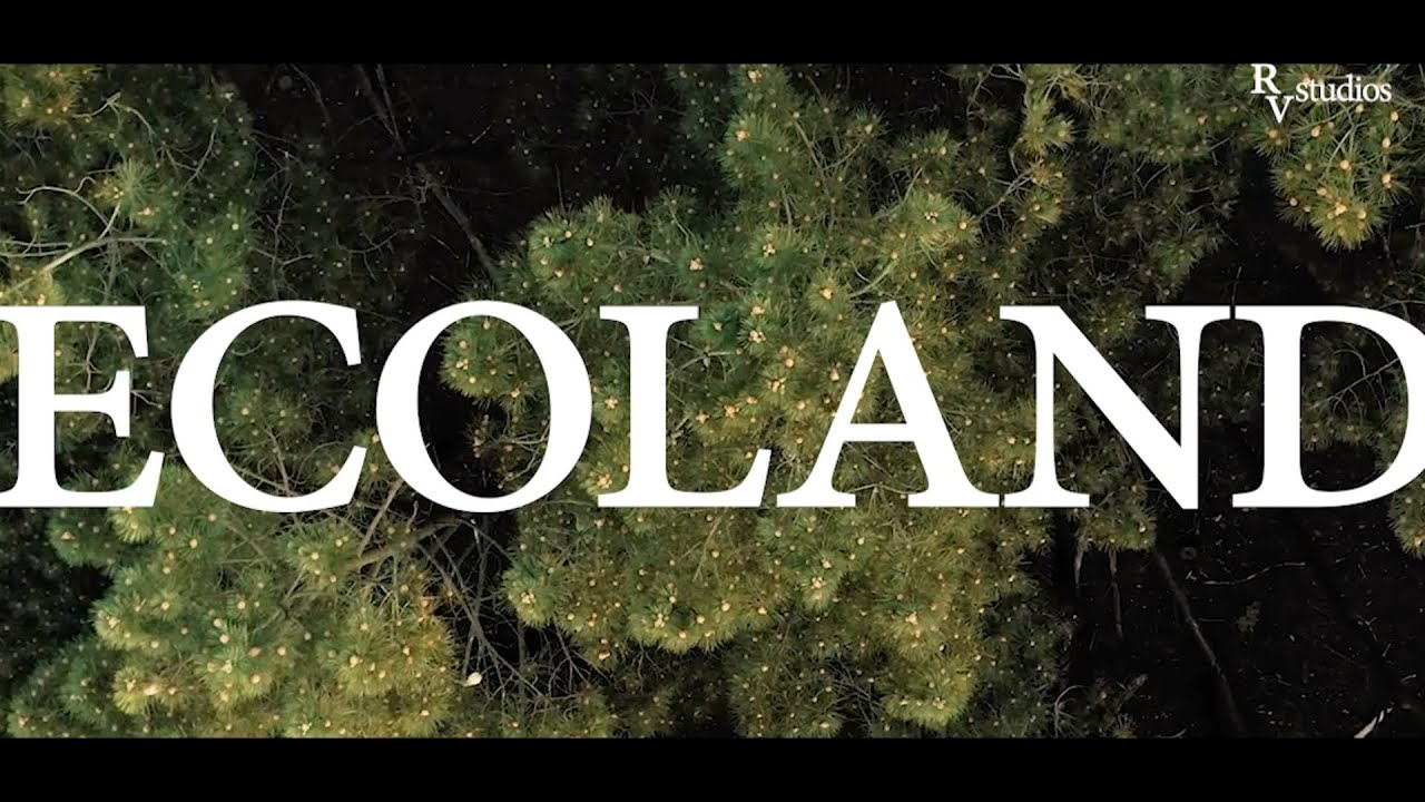 Zipline Ziro Park ECOLAND RV Studio YouTube