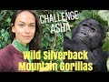 I WAS CHARGED BY A WILD SILVERBACK MOUNTAIN GORILLA!