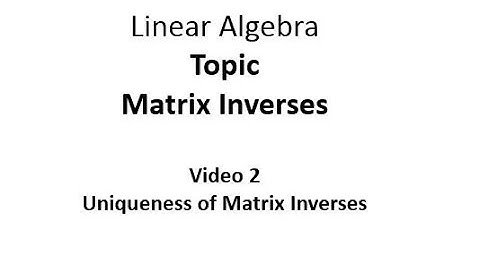 Uniqueness of Matrix Inverses