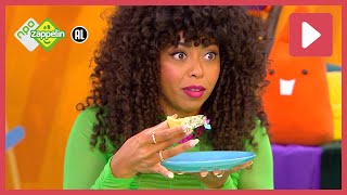 Hap Slik Weg  Zin In Zappelin  Npo Zappelin