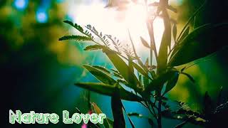 God gifted Nature