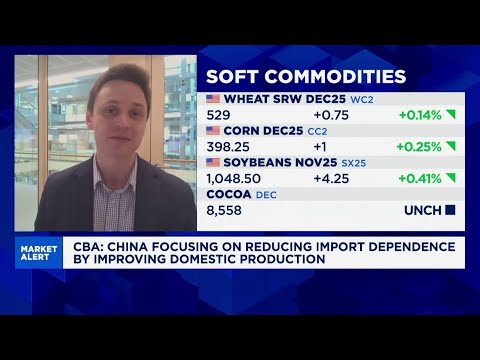 Both China & US run the risk of limiting their options with grains duties, tariffs: CBA Economist Episode cover