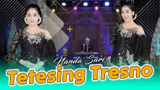 Nanda Sari - Tetesing Tresno Official Music Video
