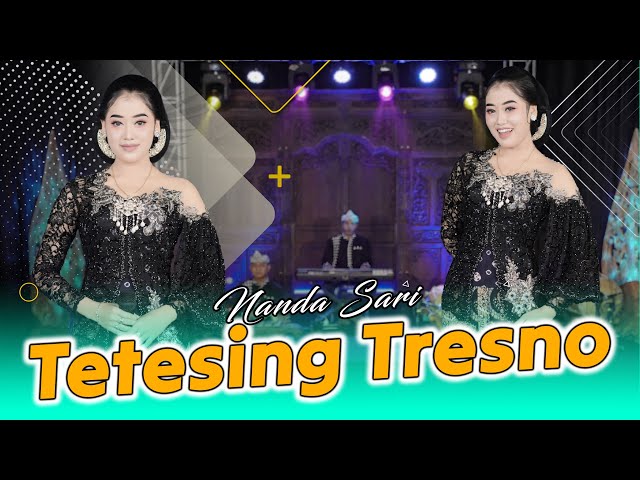 Nanda Sari - Tetesing Tresno (Official Music Video) class=