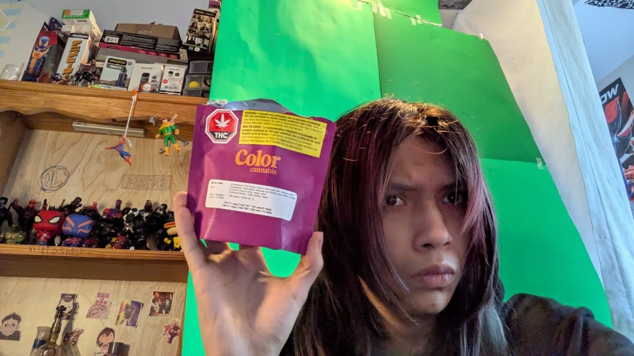 Mango haze CBD + THC mix strain review 