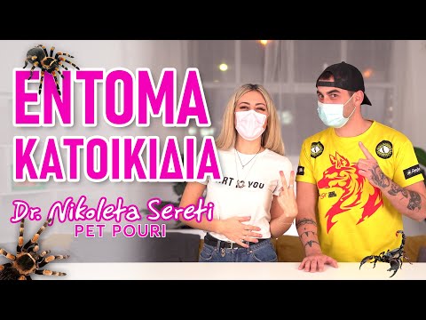 Insect Pets - Ταραντουλα και Έντομα Κατοικίδια!!!!