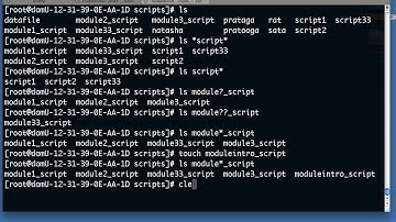 Linux bash wildcard basics