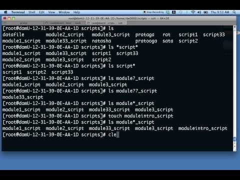 Linux bash wildcard basics