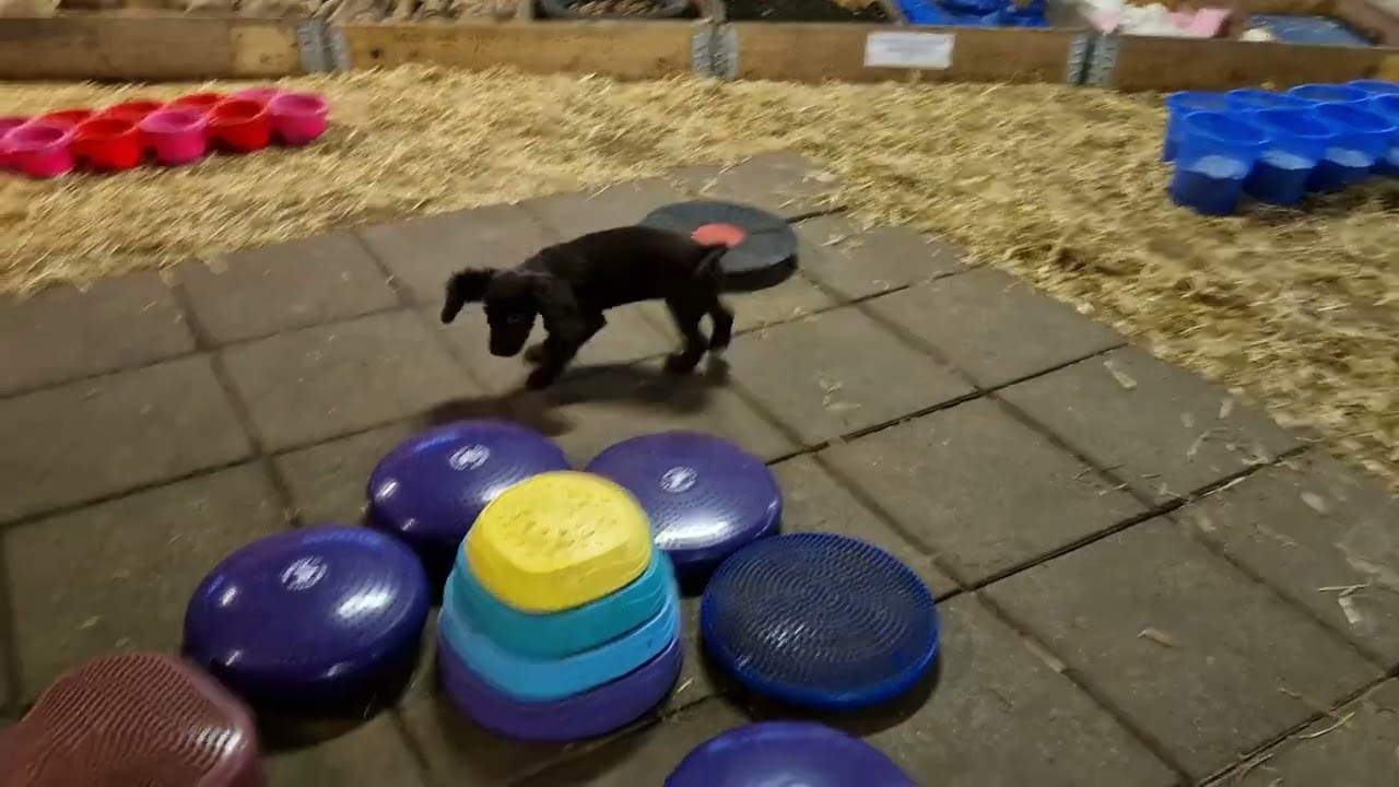 EQUILITYHALLEN 240325   Skabt med Clipchamp