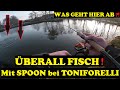 FORELLEN DREHEN völlig DURCH! - ÜBERALL FISCH! Erfolgreiches SPOONANGELN im Frühling