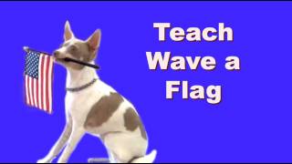 4th of July dog tricks special Teach your dog to do tricks with a flag!