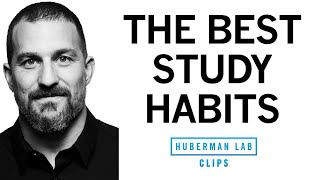 The Top Study Habits to Improve Learning | Dr. Andrew Huberman