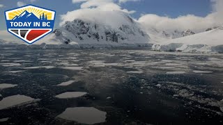 Scientists May Have Found Something Massive Living Under Antarctica