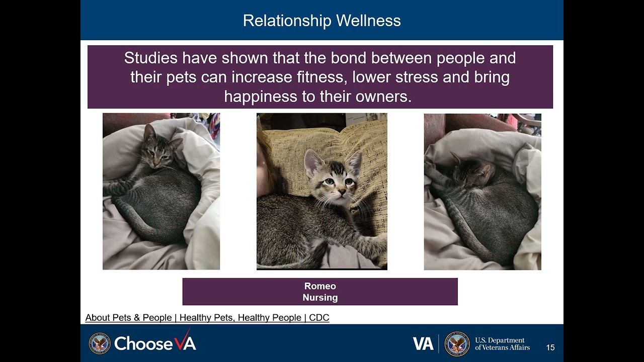 23 EOVAHCS IPVAP Virtual Pet Parade