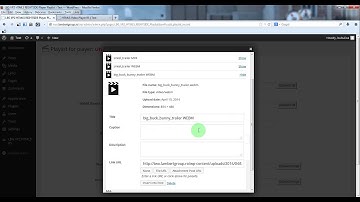 HTML5 Video Player With Right Side Playlist - Manage the Playlist