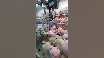 Clamp & Shake it off! 🤪 [Milo] @ Round 1 #arcade #round1 #clawmachine #夾娃娃 #subscribe #shorts
