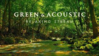 円原川 と 神秘と癒しの緑の世界 │ Into the green with acoustic chill │ Relaxing Stream & Music / ASMR