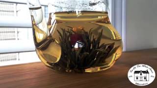 Jasmine Sanctuary Blooming Tea Ball