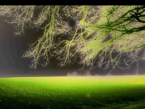 Jorge Fandermole - Canciòn del pinar