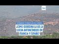 ¿Cómo coordina la UE la lucha antiincendios en Francia y España?