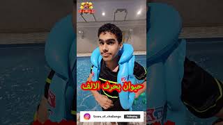 تحدي حرف اسم نبات حيوان جماد بلاد | الغاز للاذكياء ؟معنجوم_التحدي challenge ضحك shorts 