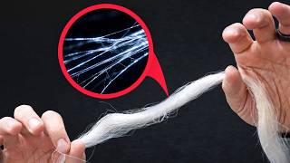 Is spider silk really stronger than steel? screenshot 5