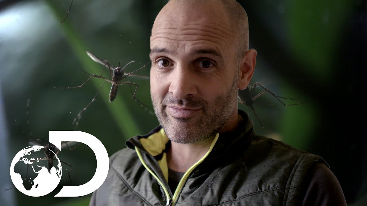 shocking definition Ed Stafford’s Top Tips to Avoid Mosquitoes