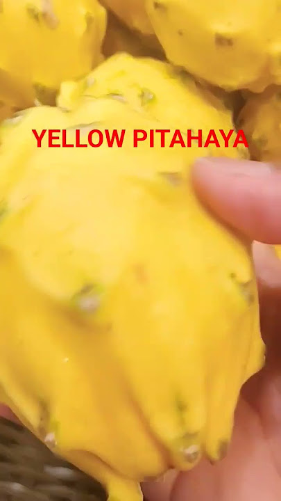 YELLOW PITAHAYA /WHITE SMOOTH SWEET FLESH
