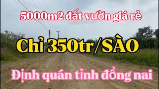 P103 Đất Vườn Đồng Nai Giá Rẻ Gần 5000M2 Chỉ 1Ty750Tr Bđs Miền Quê Đất Vườn Xã Phú Hoà