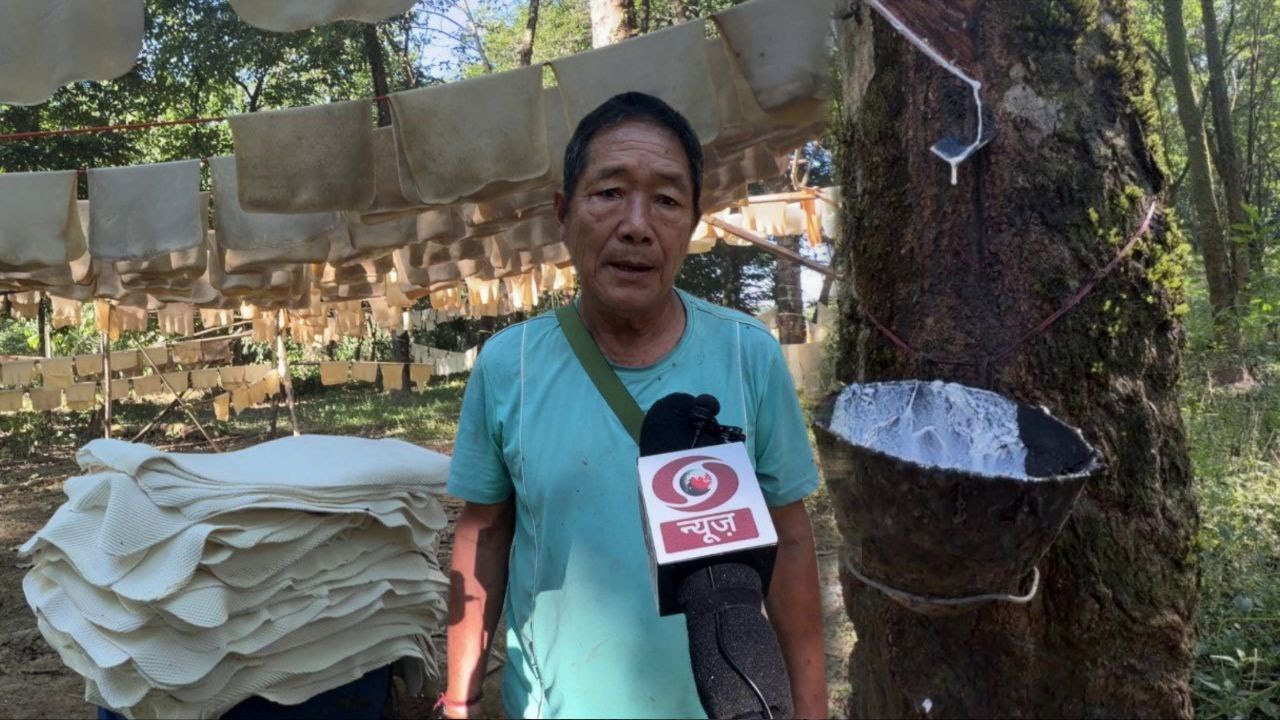 Arunachal Rubber Man Ojing Aje: The Pioneer Who Sparked Arunachal’s Rubber Farming Movement
